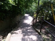 DSCF7979 DSCF7979