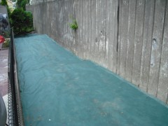 DSCF8828 DSCF8828