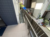 IMG_1114