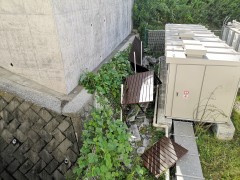 IMG_20181001_084239