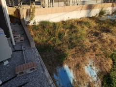 IMG_20181021_160402
