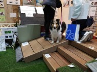 ペットと楽しむ庭づくり　横浜　YAMASO