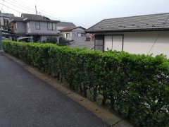 横浜市港南区芹が谷　生垣をブロックに改修