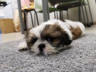 IMG_20190507_200845