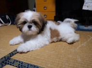 IMG_20190626_204847