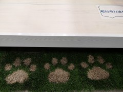 IMG_20200110_184811