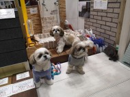 IMG_20200112_103404_1