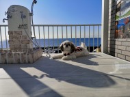 IMG_20200119_100537_1