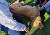 IMG_20200119_111457-21