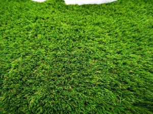 IMG_20200315_094700 IMG_20200315_094700