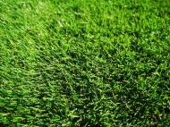 IMG_20200315_152754