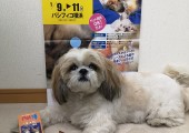 IMG_20201221_211815