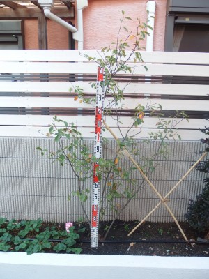 PA280140 PA280140
