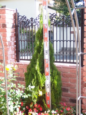 PA280146 PA280146