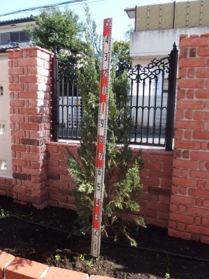 PA280149 PA280149