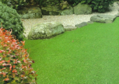 QS_20200117-230605
