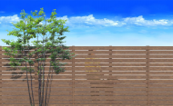 QS_20220328-161336