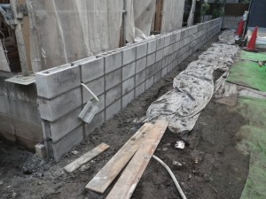 RIMG1054 RIMG1054