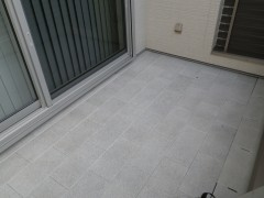 RIMG1087 RIMG1087