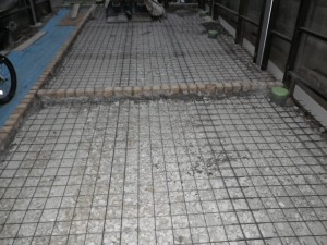RIMG1353 RIMG1353