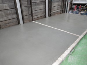 RIMG1385 RIMG1385
