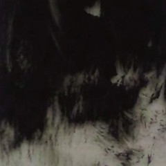 STX0842A000304 STX0842A000304