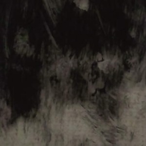 STX0842A000305 STX0842A000305