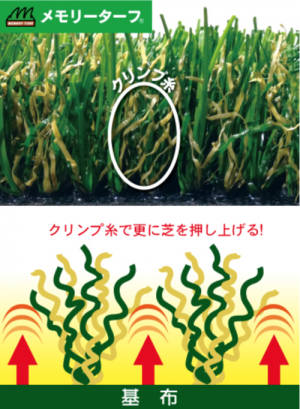 ae551b45c259527f4f6bedaf2ddf78fc