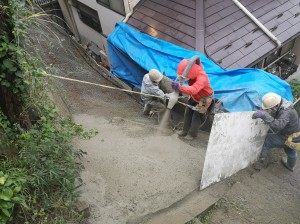 batch_IMG_20211022_0918181