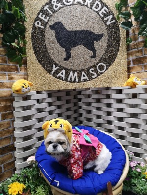 ペット博　横浜