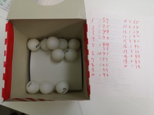 ペット博　横浜　犬　イベント　庭
