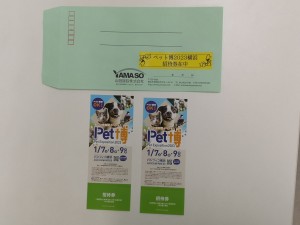 ペット博　横浜　犬　イベント　庭