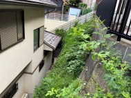batch_IMG_2851