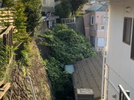 batch_IMG_4656