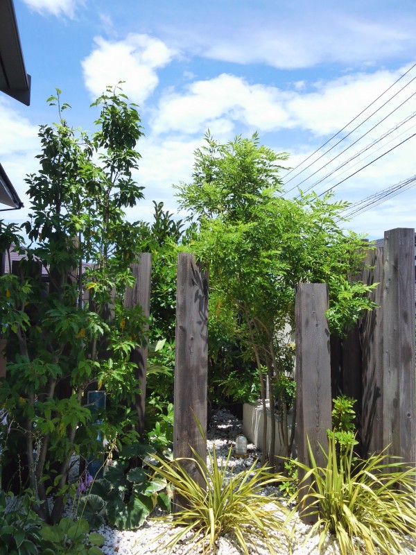 植栽 植栽