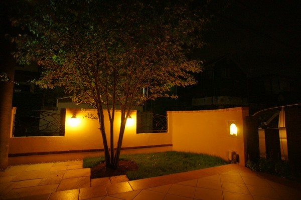 dsc01353-600x3994