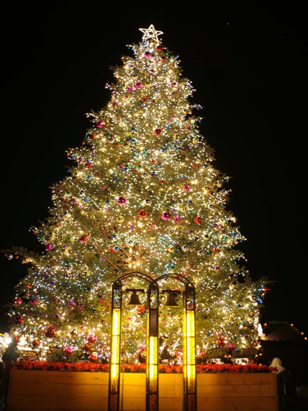 横浜赤レンガ倉庫のクリスマスツリー