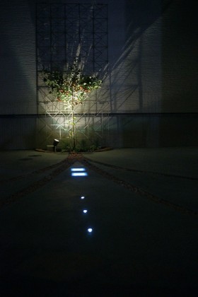 dsc08901-280x4202