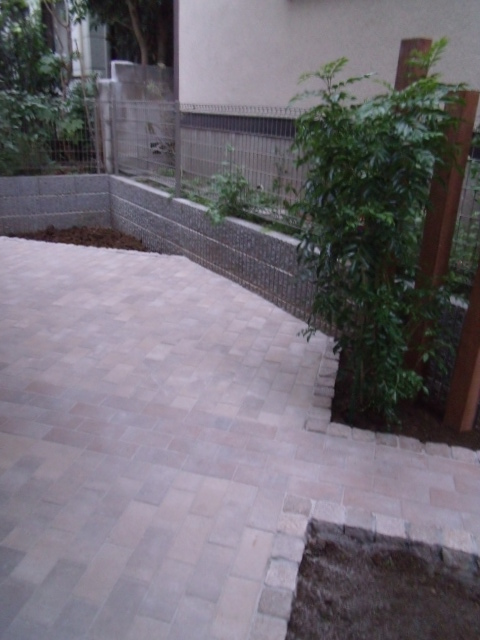 dscf32681