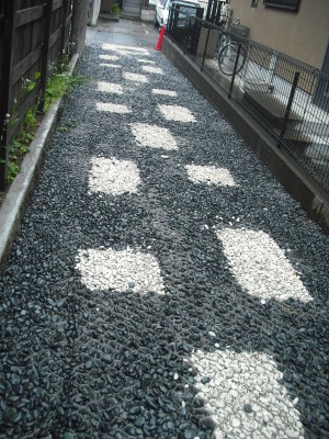 dscf52841