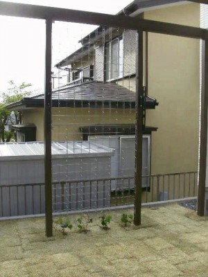 dscf81594