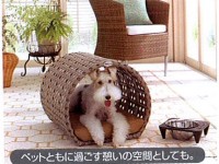 暖蘭物語 ペット 暖蘭物語 ペット