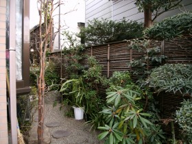 工事前の庭