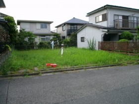 現調