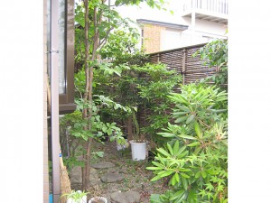 img11681