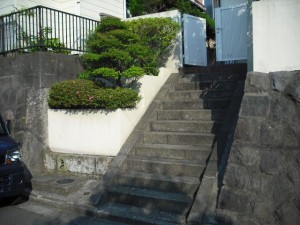 img11684