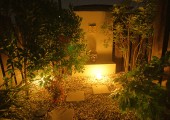 img11705