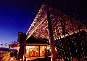 mshe-do1