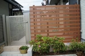 s-dsc07175