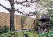 s-sc-kodawaritakemisugaki5gatasetto